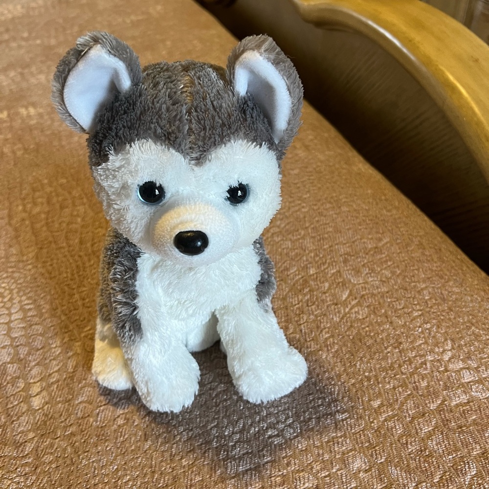 Plush Little Dog sz 11in
